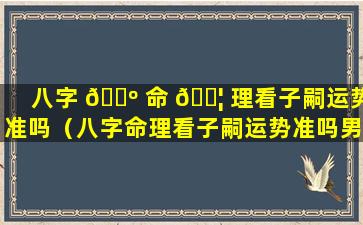 八字 🌺 命 🐦 理看子嗣运势准吗（八字命理看子嗣运势准吗男）